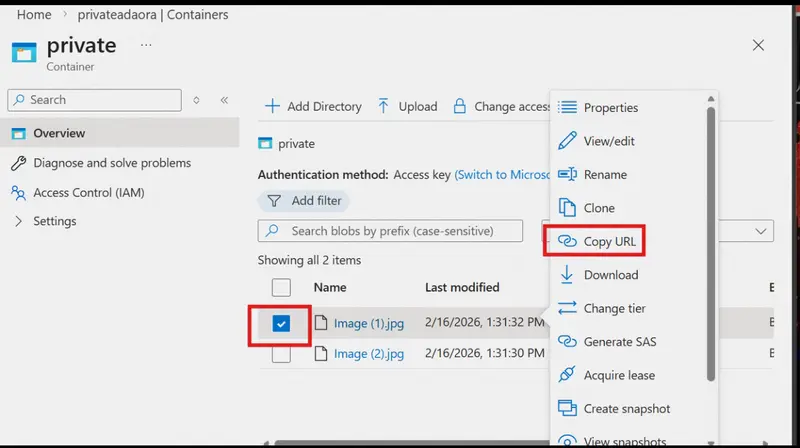 copy file URL