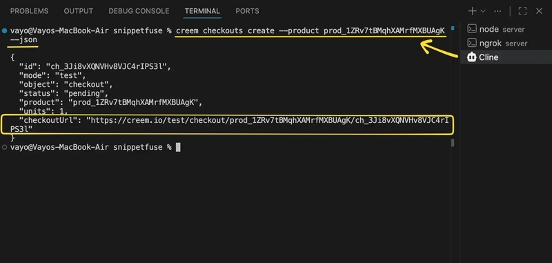 Terminal showing Checkout Session JSON with checkoutUrl
