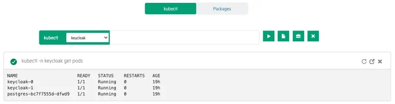 Terminal output of kubectl get pods -n keycloak showing all pods running