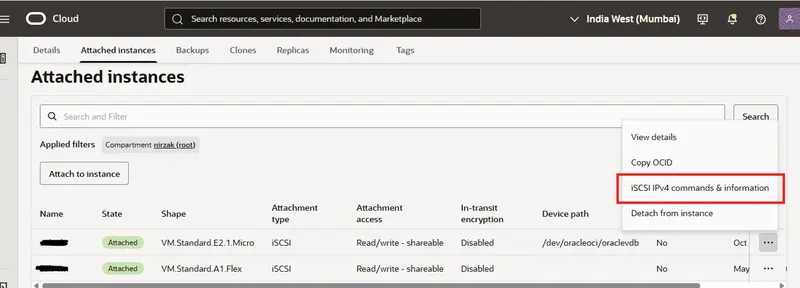 iSCSI command option page