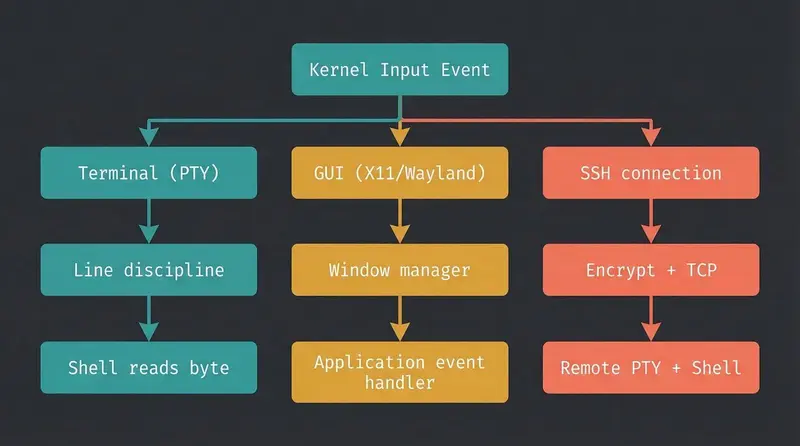 Where the keypress goes — terminal, GUI, or SSH