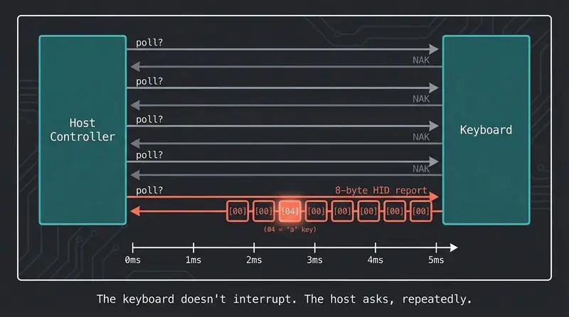 USB HID polling — the host asks, repeatedly