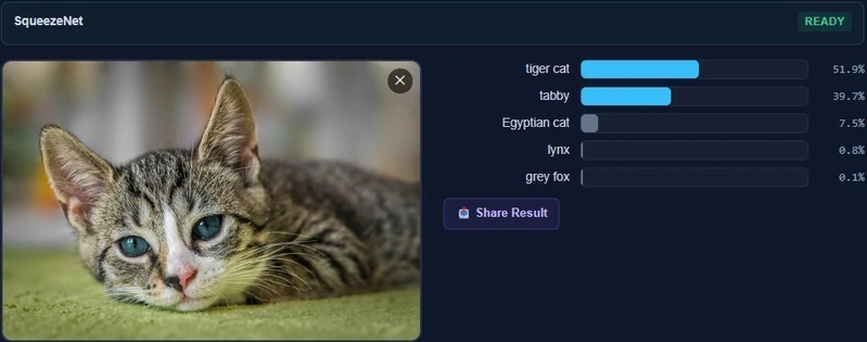 SqueezeNet classifying a cat photo in the browser