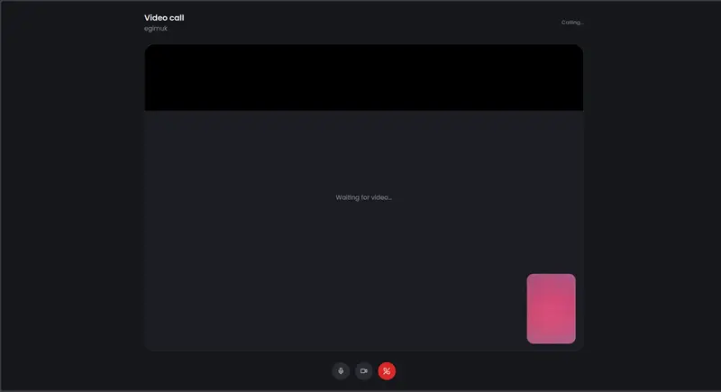 Video Call on Aura Lenz(Vylo) - https://auralenz.vercel.app